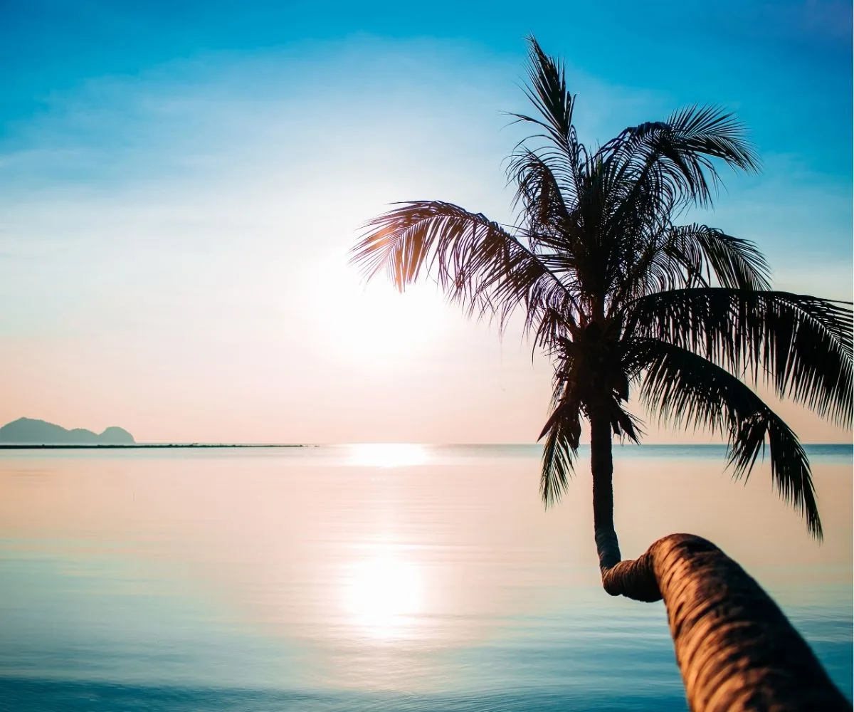 Koh Phangan 2