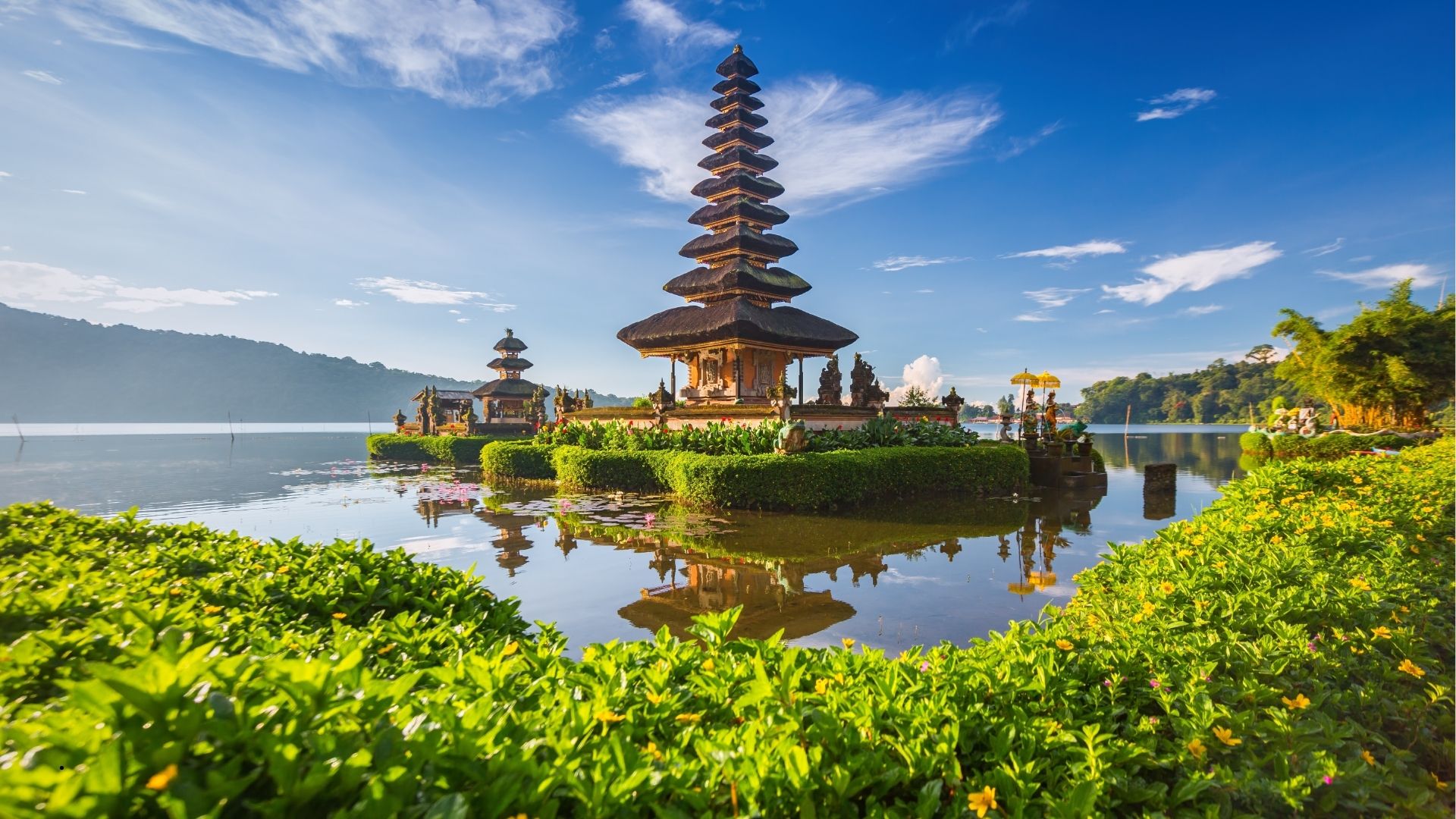 (WP) - Kuta Paradiso Gen 5